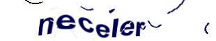 Captcha challenge image